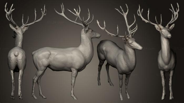 Статуэтки животных (Золотой олень, STKJ_0556) 3D модель для ЧПУ станка